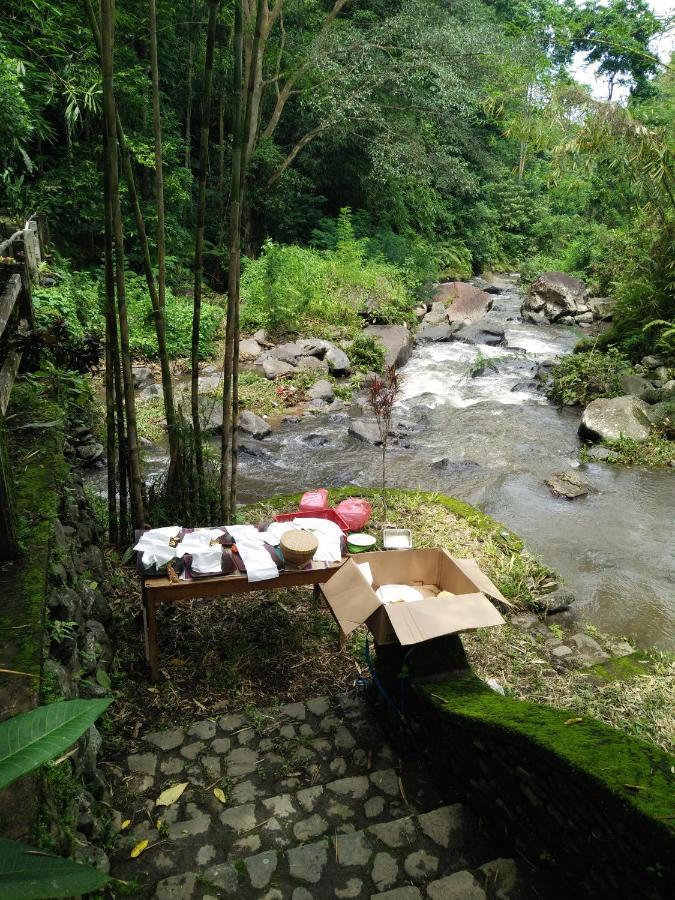 Shanti Natural Panorama View Hotel Singaraja Exterior foto